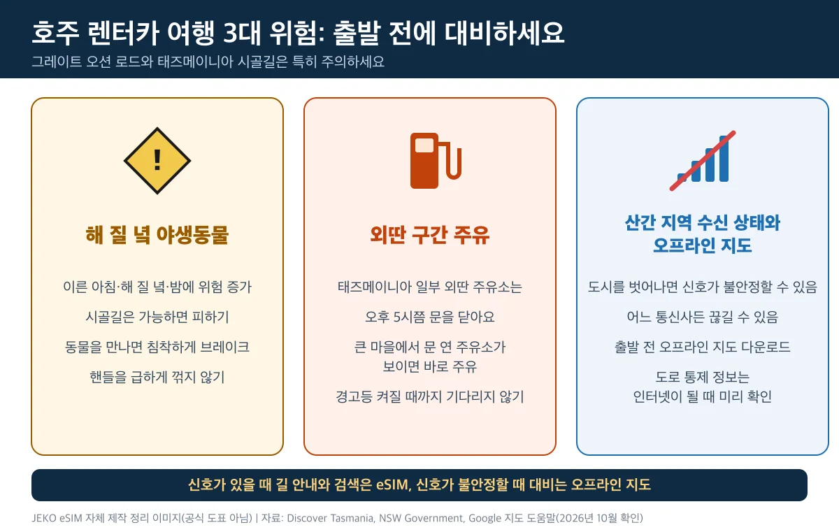 호주 렌터카 여행 3대 위험 정리: 해 질 녘 야생동물, 외딴 구간 주유, 산간 지역 수신 상태와 오프라인 지도