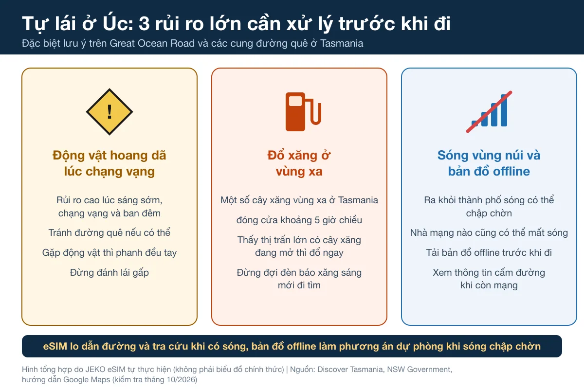Tổng hợp 3 rủi ro lớn khi tự lái ở Úc: động vật hoang dã lúc chạng vạng, đổ xăng ở đoạn đường xa, sóng điện thoại vùng núi và bản đồ offline