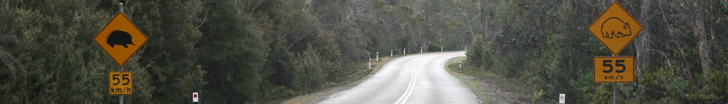 Biển cảnh báo động vật hoang dã trên đường ở Tasmania, nhắc tài xế chú ý wombat và thú lông nhím echidna