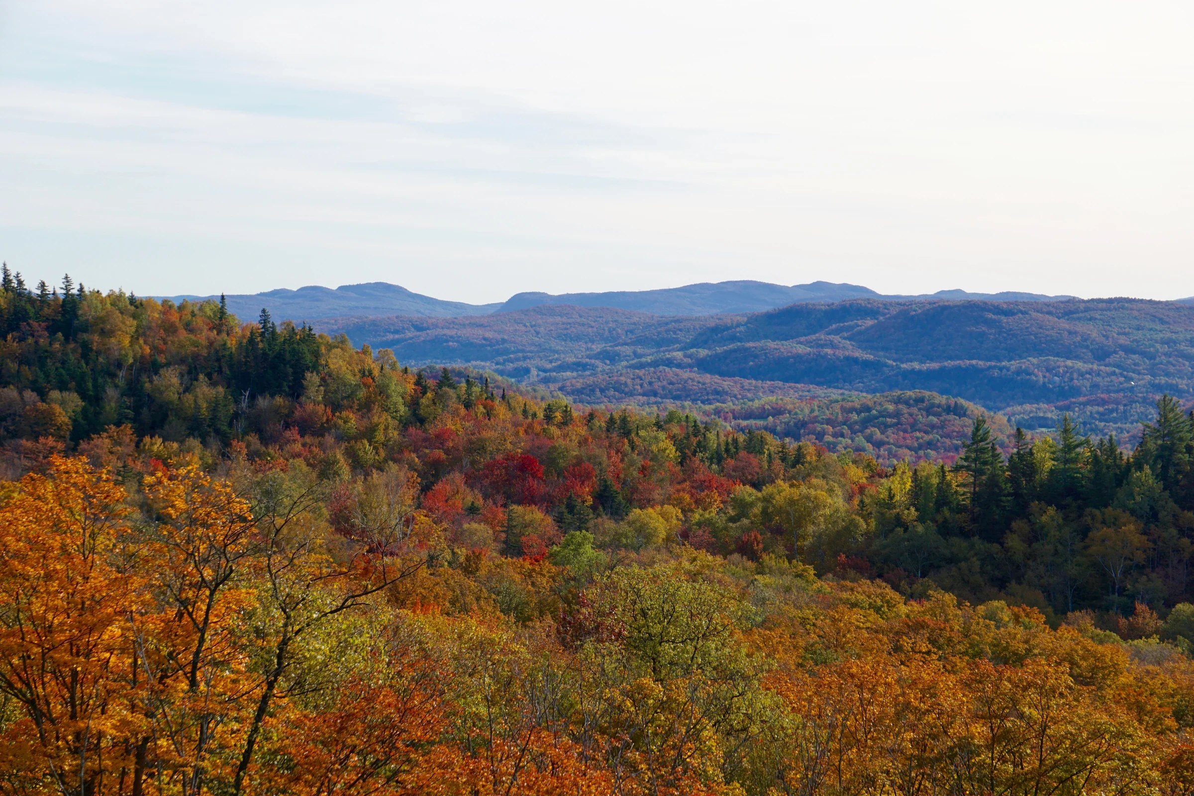 Nhìn từ trên cao rừng cây đỏ cam mùa thu ở Mont Tremblant, Québec
