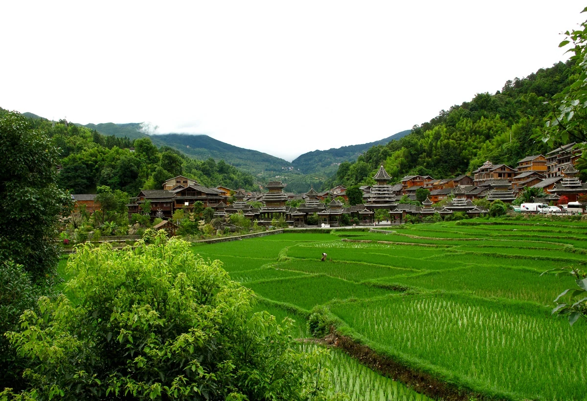 貴州肇興侗寨的木造建築與前景綠色農田，2017 年實景