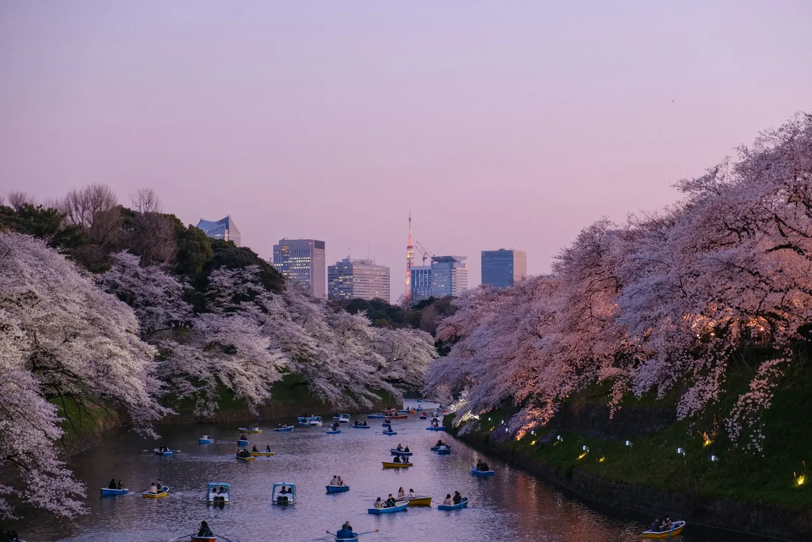 深夜抵達東京的交通選擇