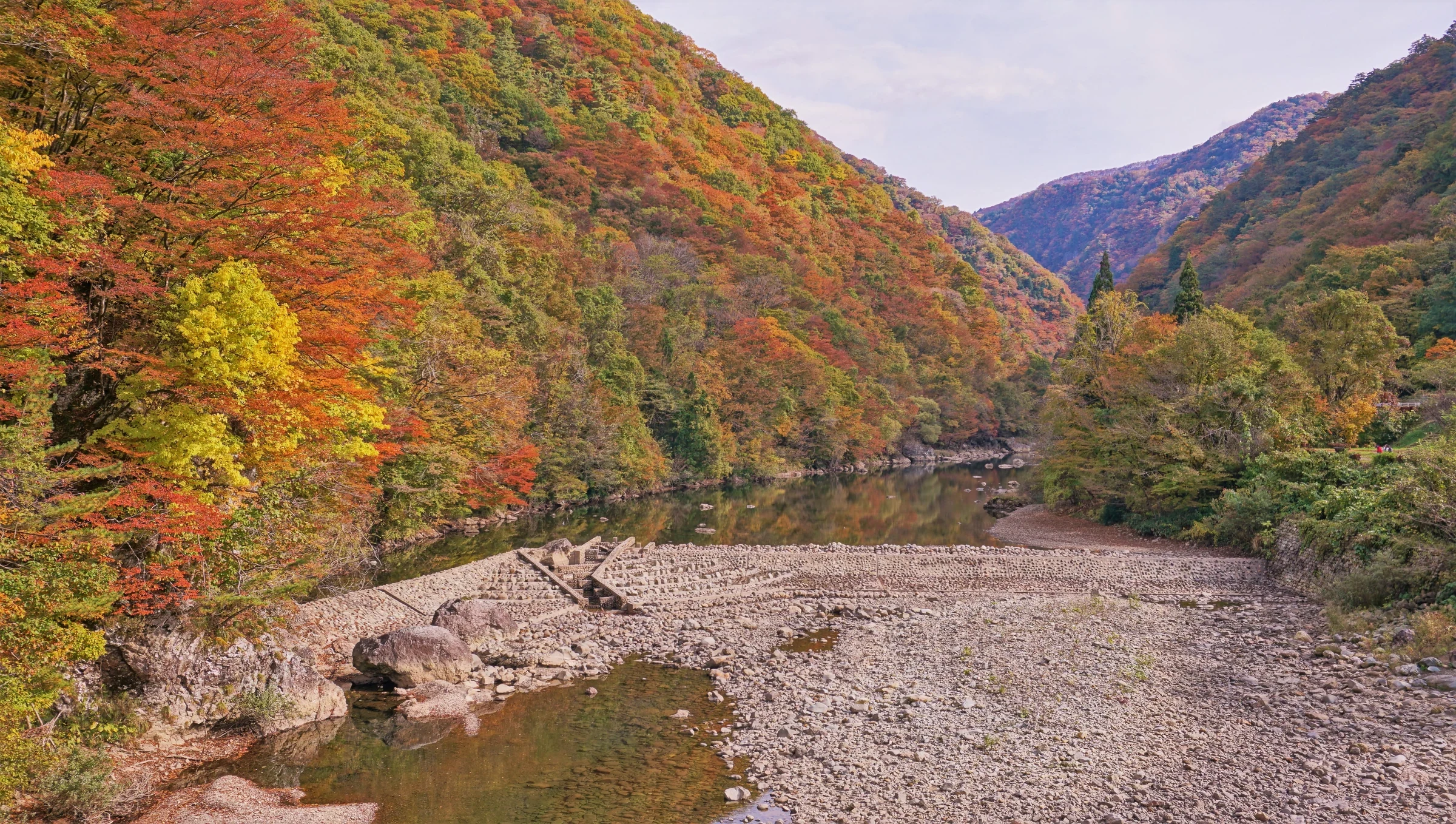 秋田抱返溪谷從神之岩橋遠望的山坡紅葉與溪谷河床