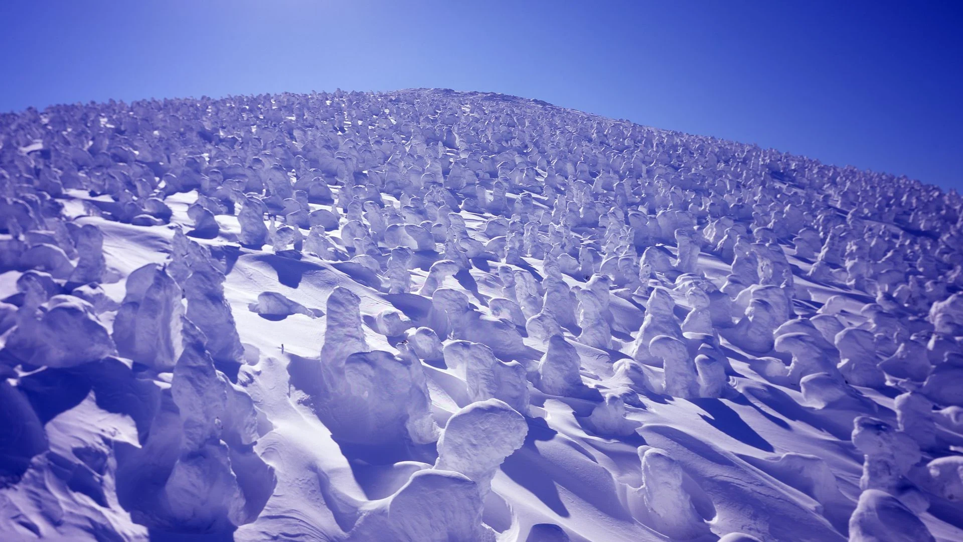 Winter snow monsters at Zao Onsen Ski Resort in Yamagata, Japan