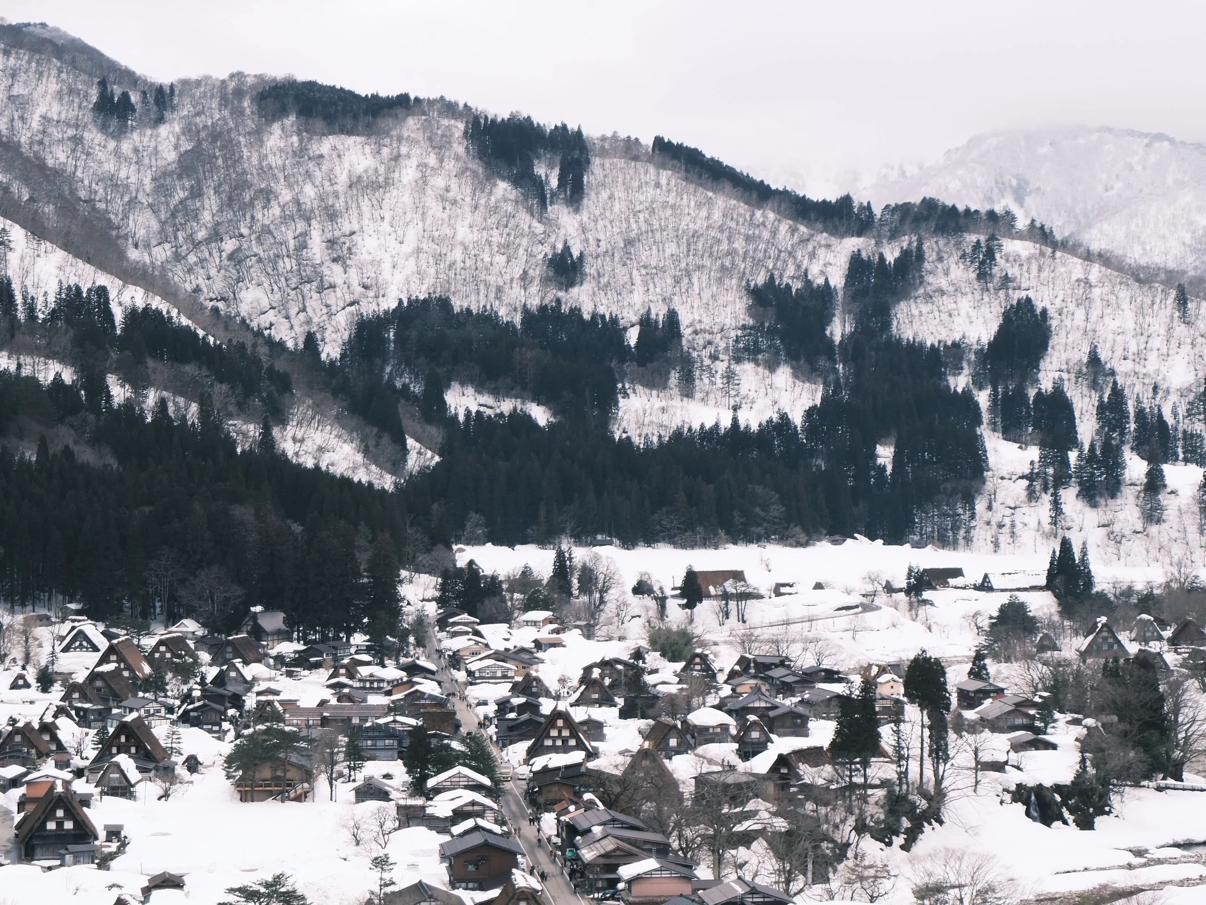白川鄉合掌村雪景與山坡聚落