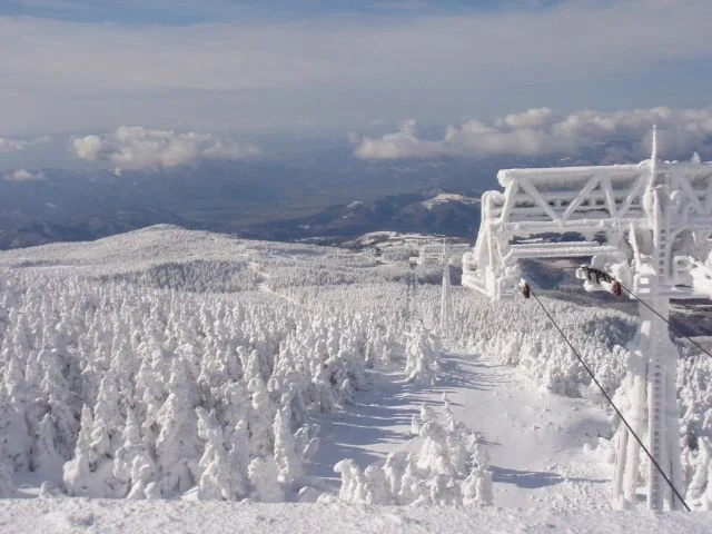 日本山形藏王溫泉滑雪場的白色樹冰雪怪
