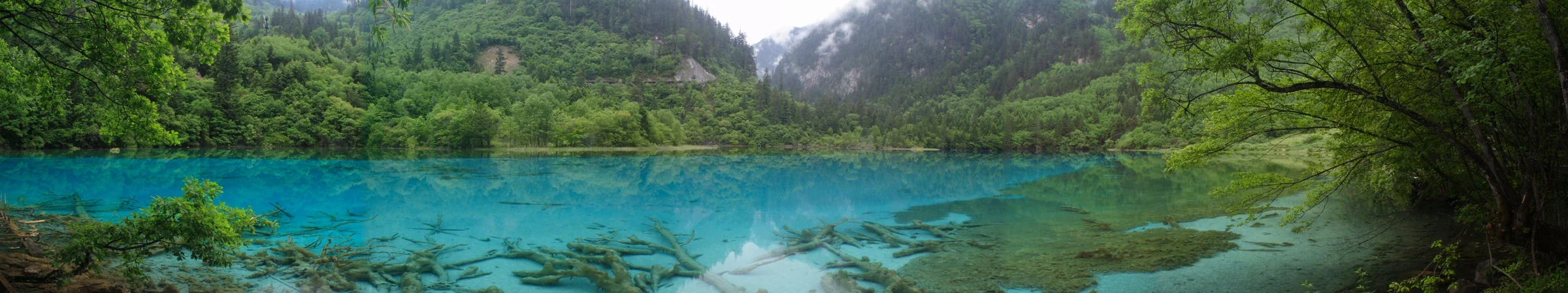 九寨溝五花海春季藍綠色湖面全景