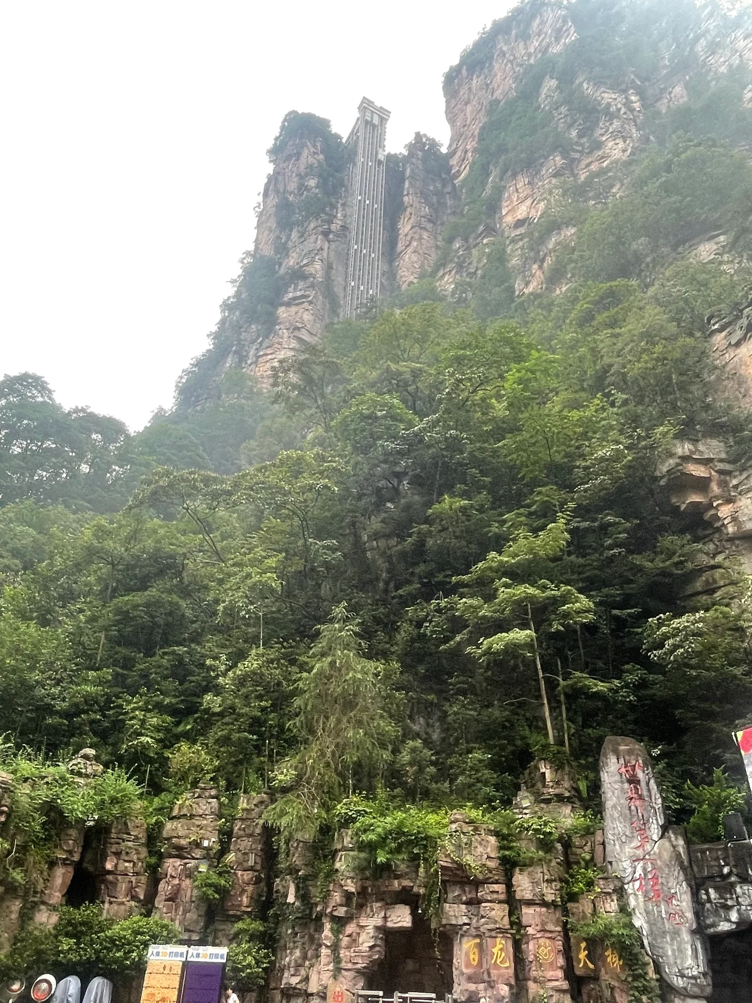 百龍天梯貼在岩壁上的垂直電梯，夏季綠樹