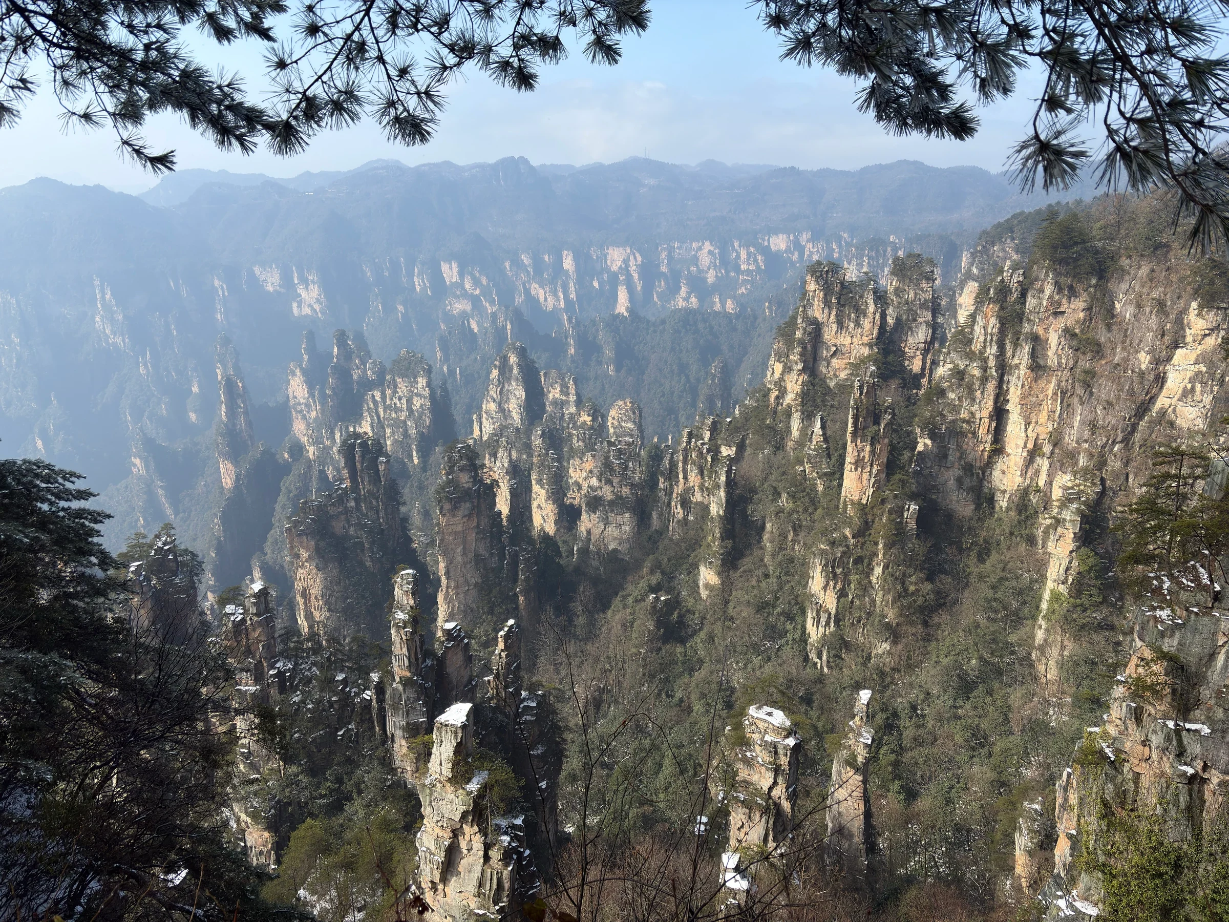 2026 年 1 月天子山石英砂岩峰柱與薄雪